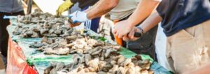 21st Annual Murrells Inlet Oyster Roast